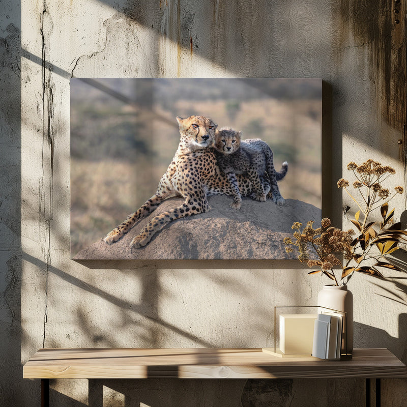 Cheetah and cup! - Stretched Canvas, Poster or Fine Art Print I Heart Wall Art