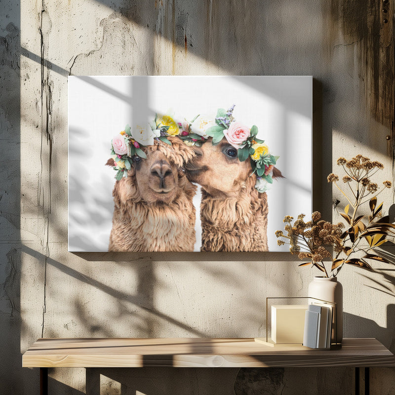 Boho Alpacas - Stretched Canvas, Poster or Fine Art Print I Heart Wall Art