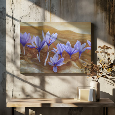 Saffron Flowers - Stretched Canvas, Poster or Fine Art Print I Heart Wall Art