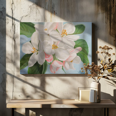 Apple Blossom - Stretched Canvas, Poster or Fine Art Print I Heart Wall Art