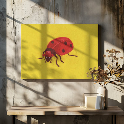 Ladybird - Stretched Canvas, Poster or Fine Art Print I Heart Wall Art