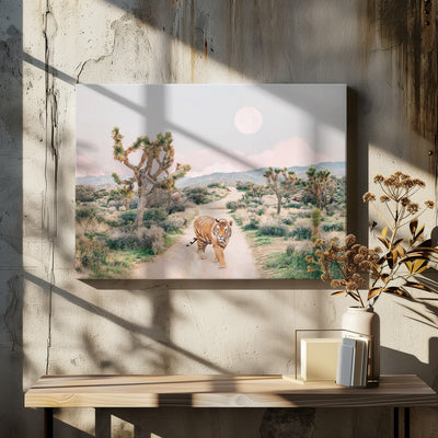 Wandering Tiger - Stretched Canvas, Poster or Fine Art Print I Heart Wall Art