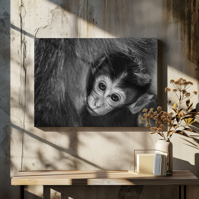 A Mother's Love - Stretched Canvas, Poster or Fine Art Print I Heart Wall Art