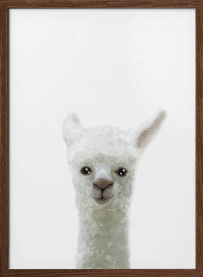 Llama - Stretched Canvas, Poster or Fine Art Print I Heart Wall Art