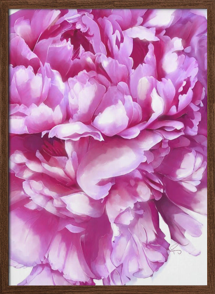 Pink Peony - Stretched Canvas, Poster or Fine Art Print I Heart Wall Art