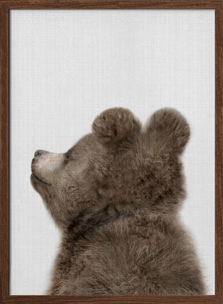 Peekaboo Baby Bear Back - Stretched Canvas, Poster or Fine Art Print I Heart Wall Art