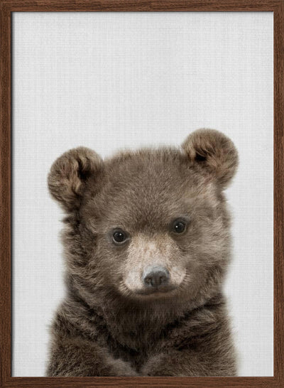 Peekaboo Baby Bear - Stretched Canvas, Poster or Fine Art Print I Heart Wall Art