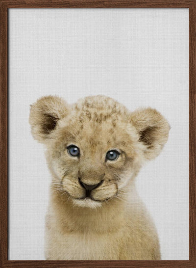 Peekaboo Baby Lion - Stretched Canvas, Poster or Fine Art Print I Heart Wall Art