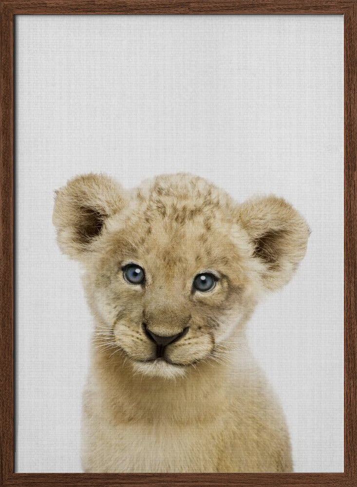 Peekaboo Baby Lion - Stretched Canvas, Poster or Fine Art Print I Heart Wall Art