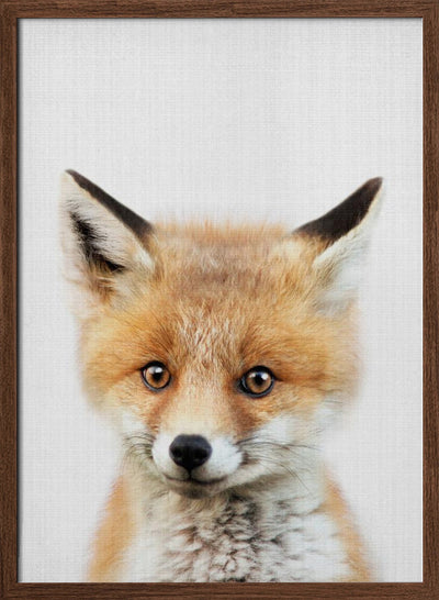 Peekaboo Baby Fox - Stretched Canvas, Poster or Fine Art Print I Heart Wall Art