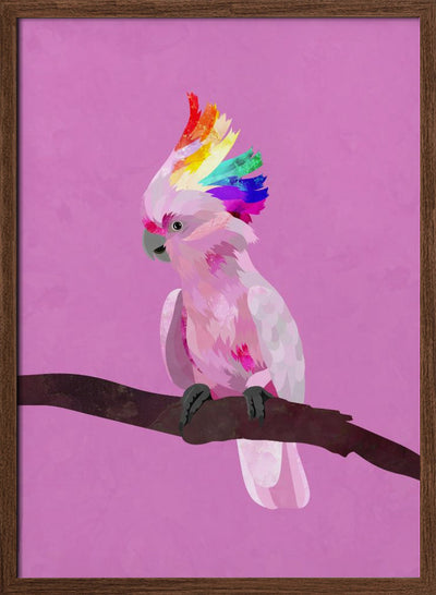 Pride Galah - Stretched Canvas, Poster or Fine Art Print I Heart Wall Art