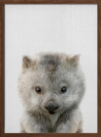 Peekaboo Baby Wombat - Stretched Canvas, Poster or Fine Art Print I Heart Wall Art