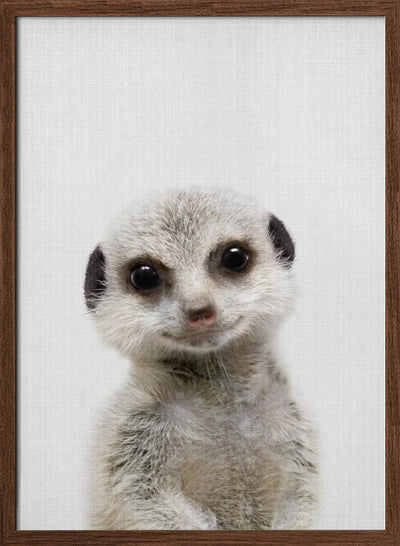 Peekaboo Baby Meerkat - Stretched Canvas, Poster or Fine Art Print I Heart Wall Art