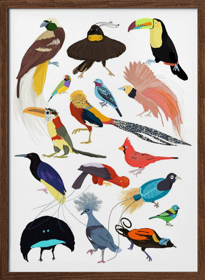 Birds of Paradise - Stretched Canvas, Poster or Fine Art Print I Heart Wall Art