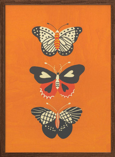 Butterflies - Stretched Canvas, Poster or Fine Art Print I Heart Wall Art
