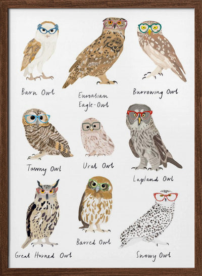 Owls In Glasses Print - Stretched Canvas, Poster or Fine Art Print I Heart Wall Art