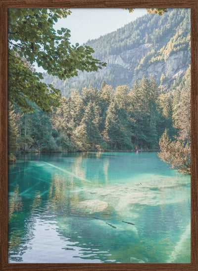 Blausee - Stretched Canvas, Poster or Fine Art Print I Heart Wall Art