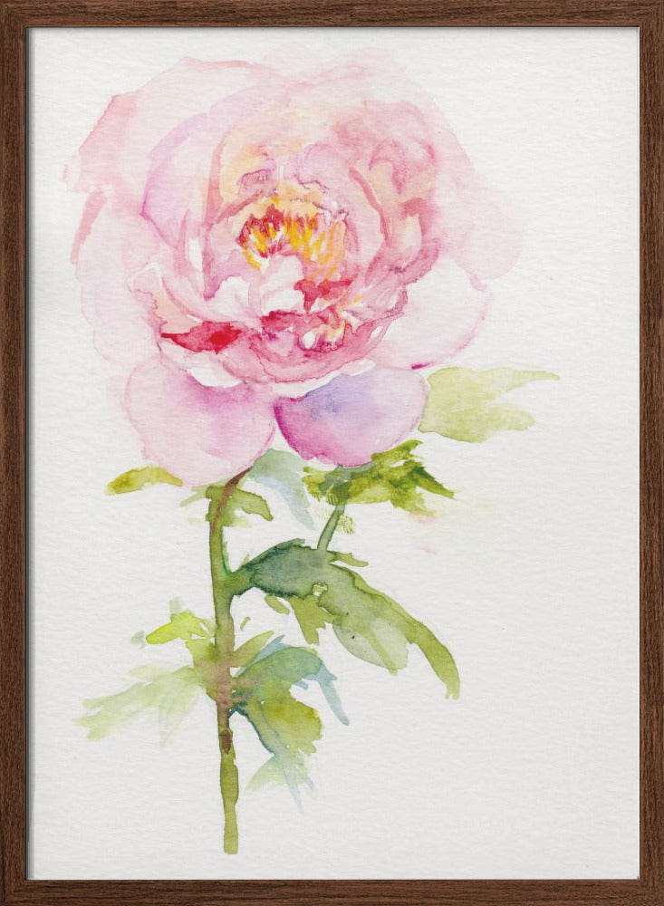 Peony November - Stretched Canvas, Poster or Fine Art Print I Heart Wall Art