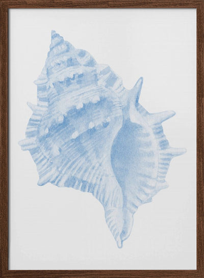 One Blue Conch - Stretched Canvas, Poster or Fine Art Print I Heart Wall Art