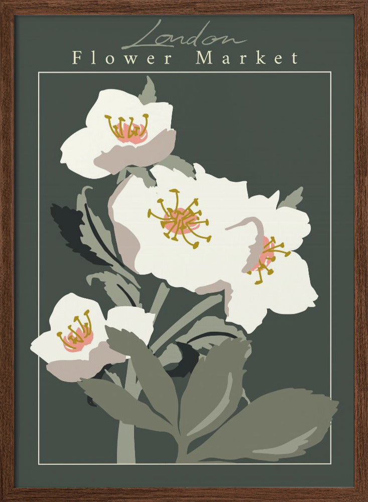 Flower Market London Hellebore - Stretched Canvas, Poster or Fine Art Print I Heart Wall Art