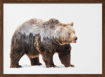 Bear - Stretched Canvas, Poster or Fine Art Print I Heart Wall Art