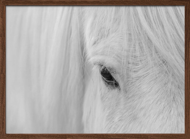 Whisper of Iceland - Stretched Canvas, Poster or Fine Art Print I Heart Wall Art