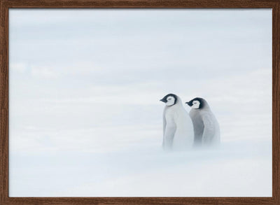 SISTER BOND UNDER THE WORST WEATHER II - Stretched Canvas, Poster or Fine Art Print I Heart Wall Art