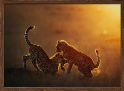 Playing at sunrise - Stretched Canvas, Poster or Fine Art Print I Heart Wall Art