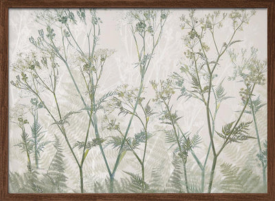 Cow parsley - Stretched Canvas, Poster or Fine Art Print I Heart Wall Art