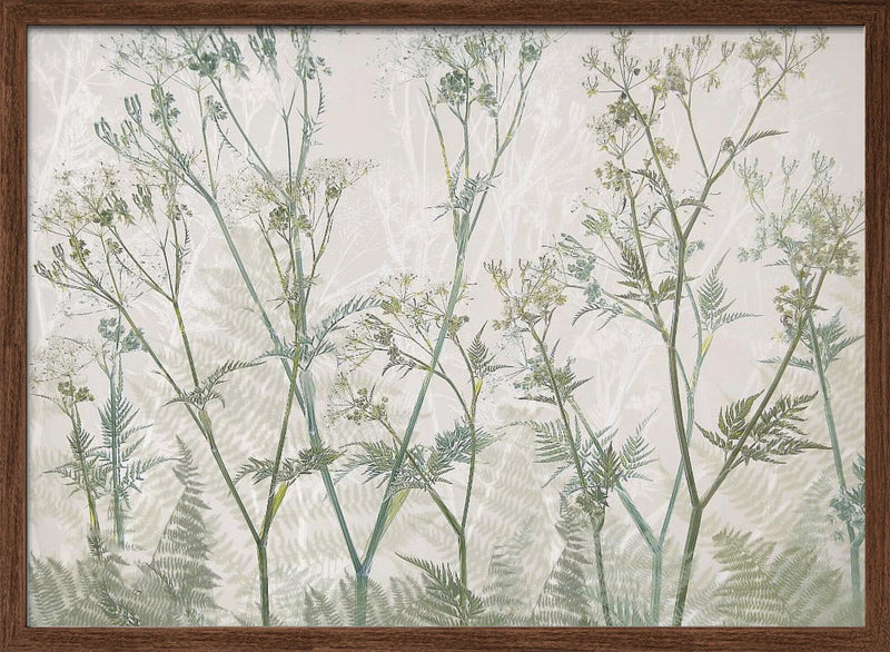 Cow parsley - Stretched Canvas, Poster or Fine Art Print I Heart Wall Art