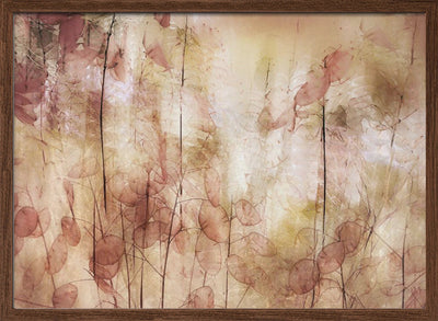 Seed pods - Stretched Canvas, Poster or Fine Art Print I Heart Wall Art