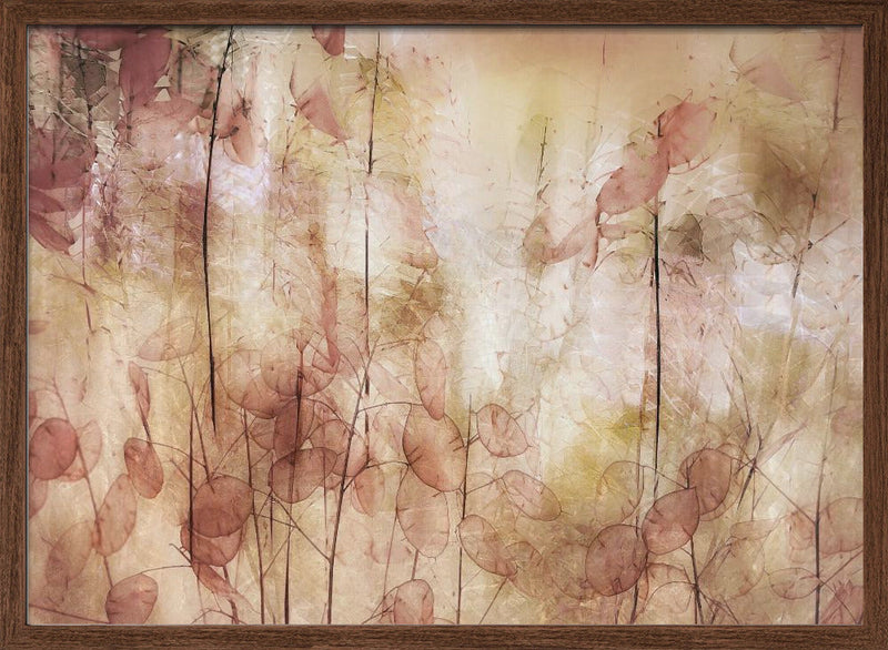 Seed pods - Stretched Canvas, Poster or Fine Art Print I Heart Wall Art