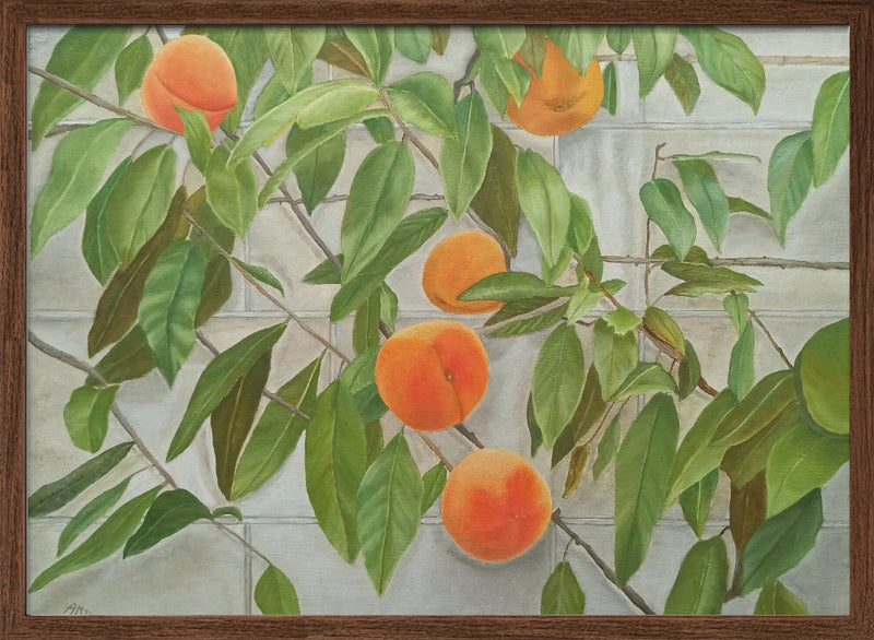 Peaches - Stretched Canvas, Poster or Fine Art Print I Heart Wall Art