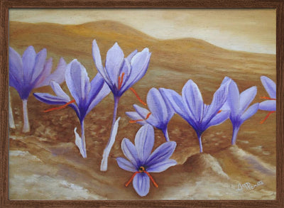 Saffron Flowers - Stretched Canvas, Poster or Fine Art Print I Heart Wall Art