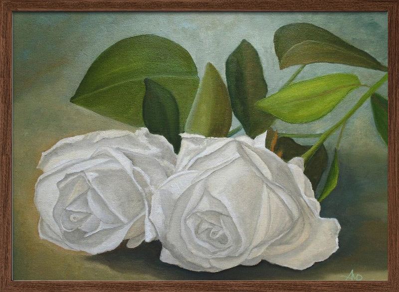 White Roses - Stretched Canvas, Poster or Fine Art Print I Heart Wall Art