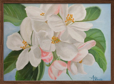 Apple Blossom - Stretched Canvas, Poster or Fine Art Print I Heart Wall Art