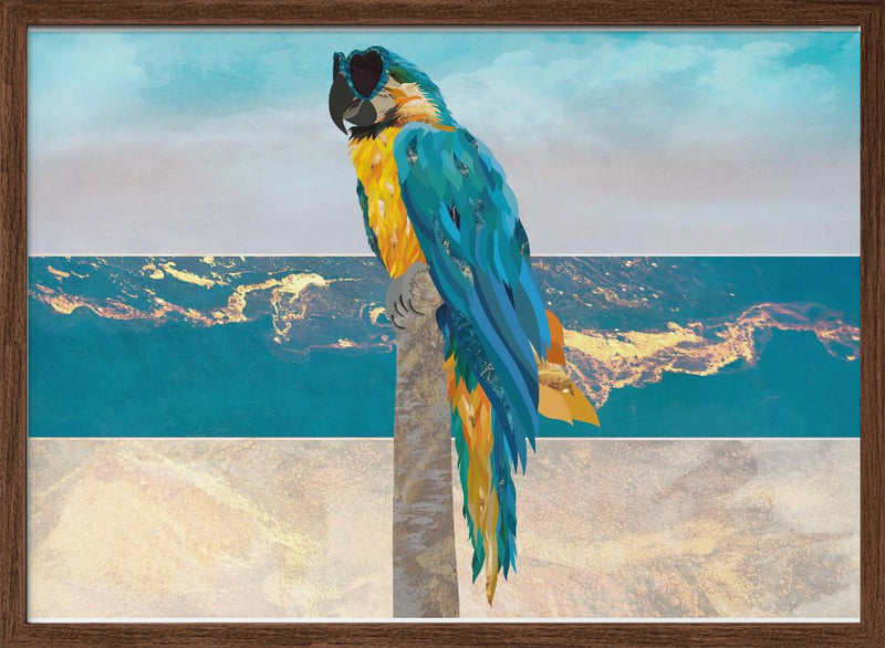 Macaw Seaside Landscape - Stretched Canvas, Poster or Fine Art Print I Heart Wall Art