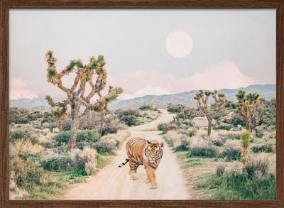 Wandering Tiger - Stretched Canvas, Poster or Fine Art Print I Heart Wall Art