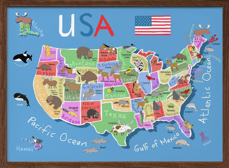 Illustrated Map of United States of America by Carla Daly - Stretched Canvas, Poster or Fine Art Print I Heart Wall Art