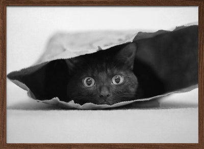 Cat in a bag - Stretched Canvas, Poster or Fine Art Print I Heart Wall Art