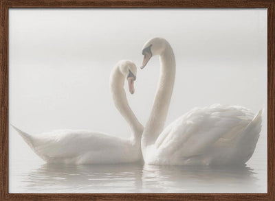 Forever - Stretched Canvas, Poster or Fine Art Print I Heart Wall Art