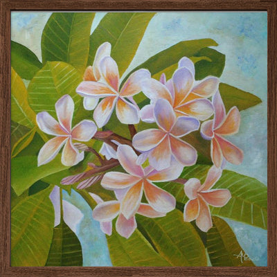 Plumeria - Square Stretched Canvas, Poster or Fine Art Print I Heart Wall Art