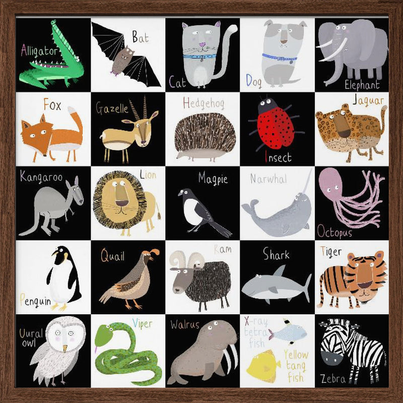 Cute Animal Alphabet with Black White Background by Artist Carla Daly - Square Stretched Canvas, Poster or Fine Art Print I Heart Wall Art