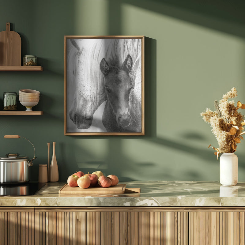 The Foal - Stretched Canvas, Poster or Fine Art Print I Heart Wall Art