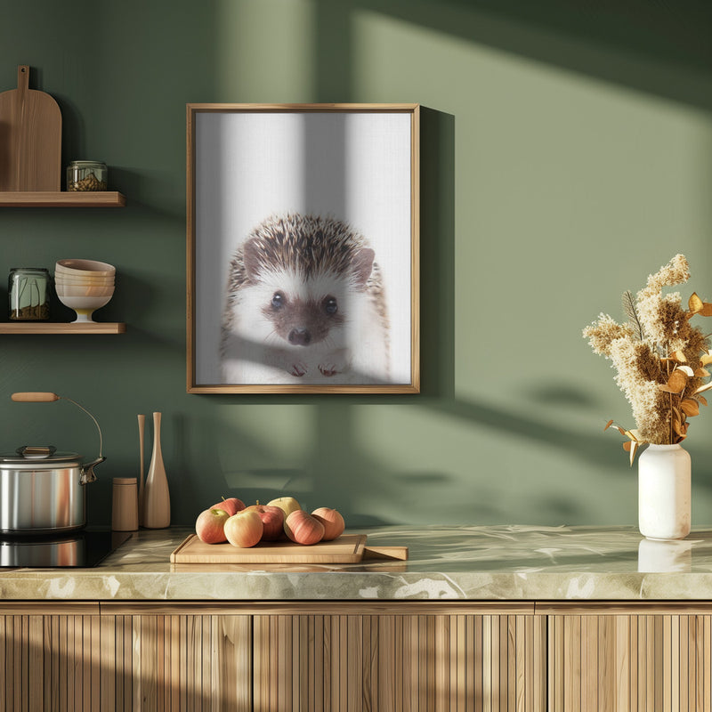 Peekaboo Hedgehog - Stretched Canvas, Poster or Fine Art Print I Heart Wall Art