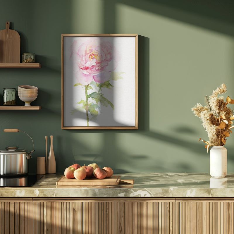 Peony November - Stretched Canvas, Poster or Fine Art Print I Heart Wall Art