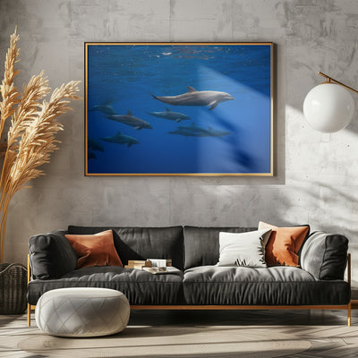 Dolphins - Stretched Canvas, Poster or Fine Art Print I Heart Wall Art