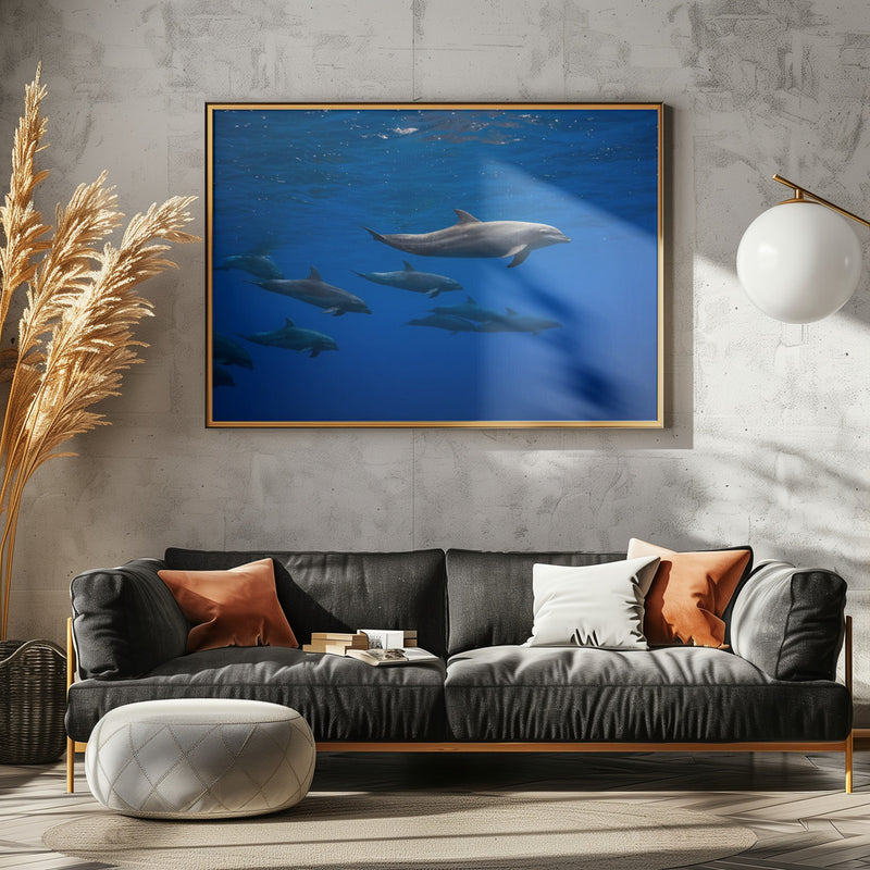 Dolphins - Stretched Canvas, Poster or Fine Art Print I Heart Wall Art