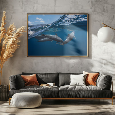 Dolphins - Stretched Canvas, Poster or Fine Art Print I Heart Wall Art