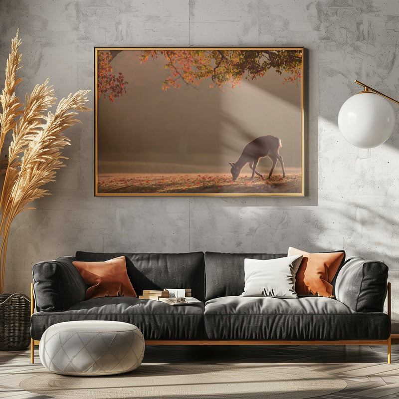 First Autumn - Stretched Canvas, Poster or Fine Art Print I Heart Wall Art